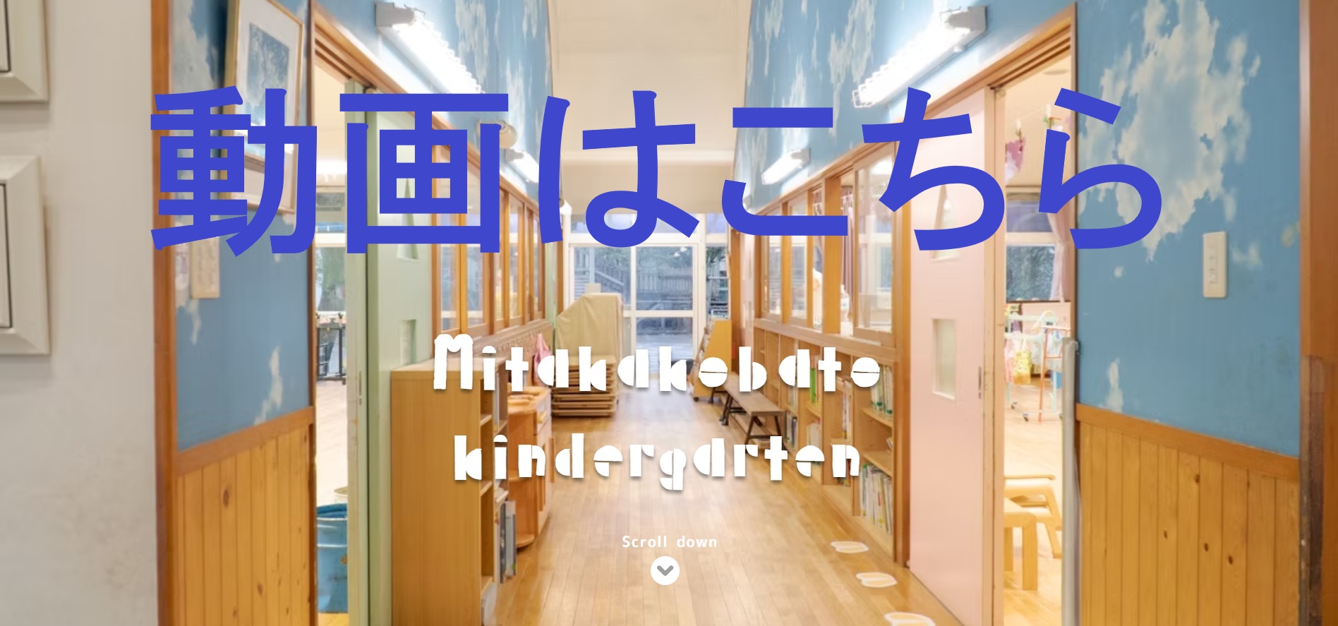 動画はこちら